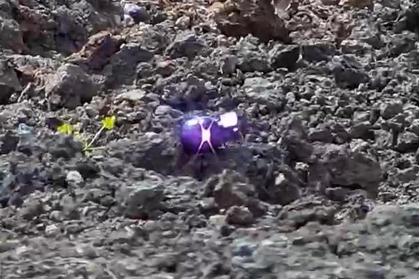 �s�u�Y�|(zh��)