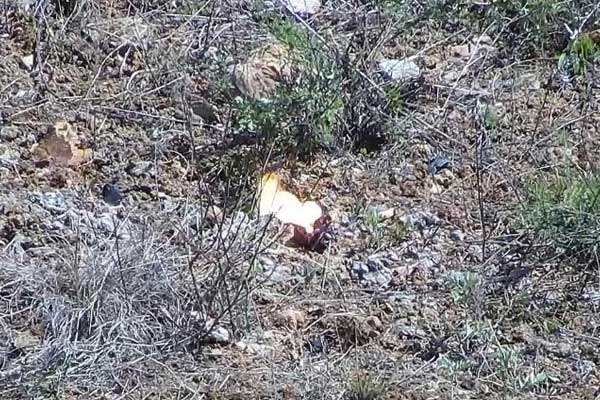 �s�u�Y�|(zh��)